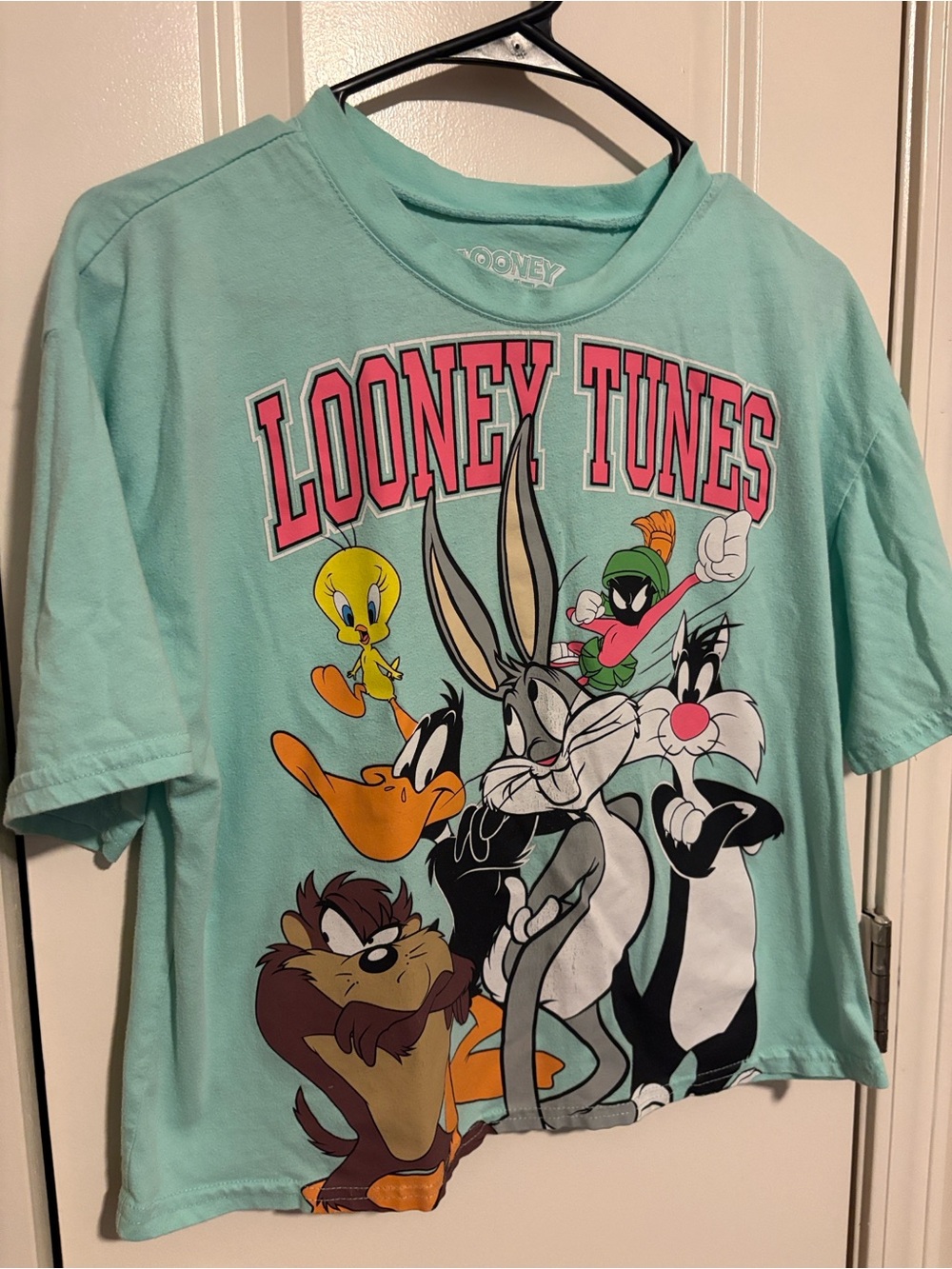 Warner Bros. Mint Green Looney Tunes Character Tee